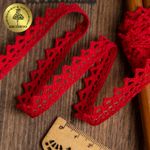 Кружево вязаное (тесьма) 10 мм / 10 метров, 5036.31 цв.31 красный, 10 м, Kruzhevo