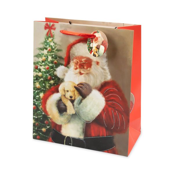 Подарочный пакет 210 г/м², 26х32х12 см, 12 шт, 05, Stilerra NTCM