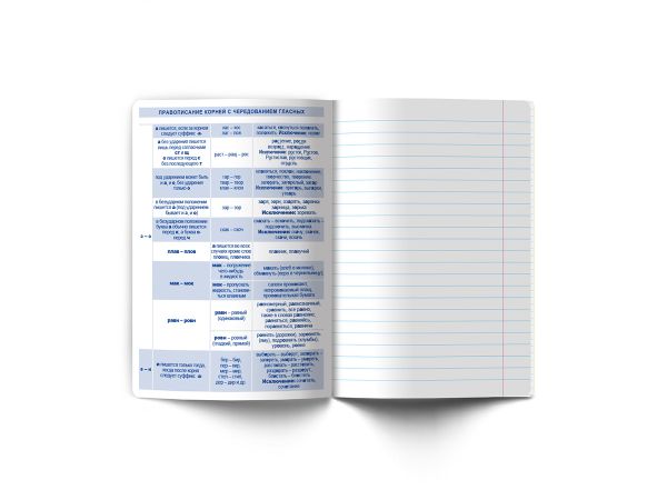 Тетрадь со справочным материалом Знания в действии, A5+ 48 л. на скобе 60 г/м², белизна 90%, 10 шт, линия, 00834 Русский язык, Светоч 48Т3