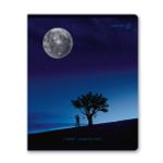 Тетрадь ученическая общая, глянцевая ламинация A5 60 л. на скобе 65 г/м², белизна 100% 10 шт клетка, 01519 Романтика заката, Светоч Т200