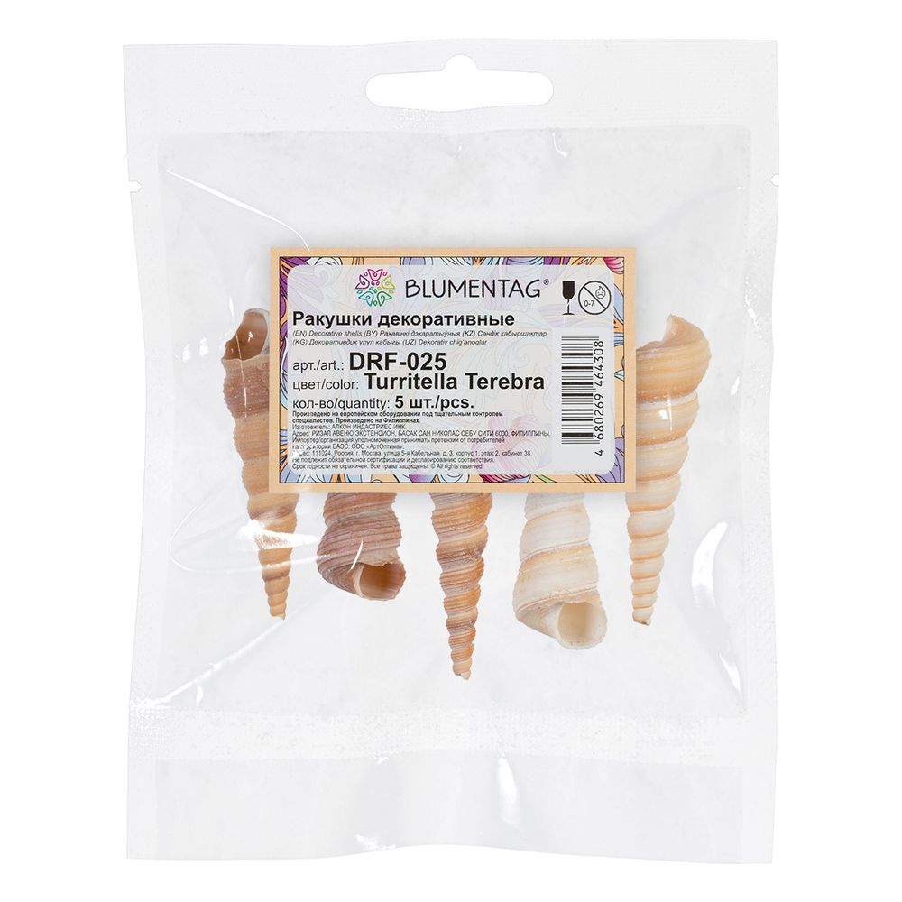 Ракушки декоративные, 5 шт, 10.1 см, Turritella Terebra, Zlatka DRF-025