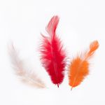 Перья декоративные 5-10 см, 5х3 г,±0.5 г, 30 Красный/оранжевый/ белый, Mr.Painter PLU-04