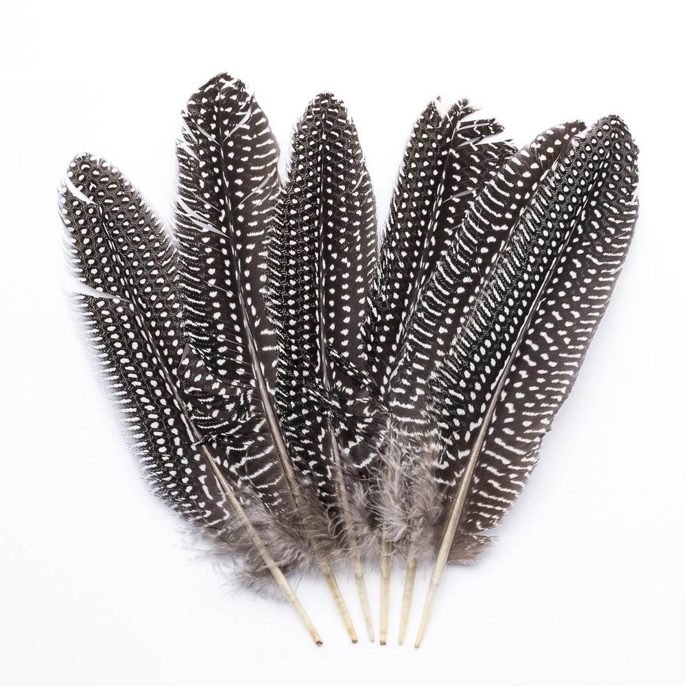 Перо цесарки обработанное, 17-20см, 6 шт, XQ-660371