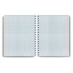 Тетрадь ученическая общая, A5 48 л. на гребне 60 г/м², белизна 90 %, 8 шт, клетка, 01168 МИКС - Зелёный мир вокруг, Светоч Т104