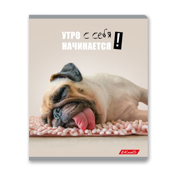 Тетрадь ученическая общая, A5+ 48 л. на скобе 65 г/м², белизна 100%, 10 шт, клетка в термоусадочной пленке, 000752 Смешные и шерстяные, Светоч 48ТЕТк-001