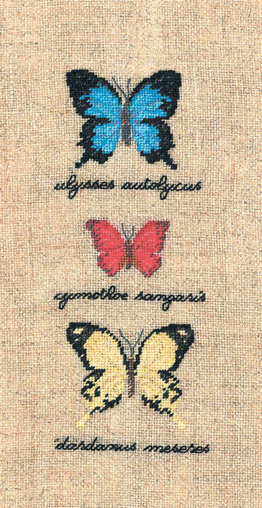 Le Bonheur des Dames, Papillons: Ulysses Autolycus, Cymothoe Sangaris, Dardanus (Бабочки), 12,5х5 см