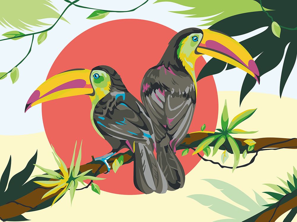 Картина по номерам Фрея PKZ/PM-061, Яркие туканы, (на картоне) 40х30 см