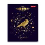 Тетрадь ученическая общая, матовая ламинация + тиснение золотой фольгой, A5+ 96 л. на скобе 60 г/м², белизна 100%, 5 шт, клетка в термоусадочной пленке, 000772 Магическая луна, Светоч 96ТЕТк-008