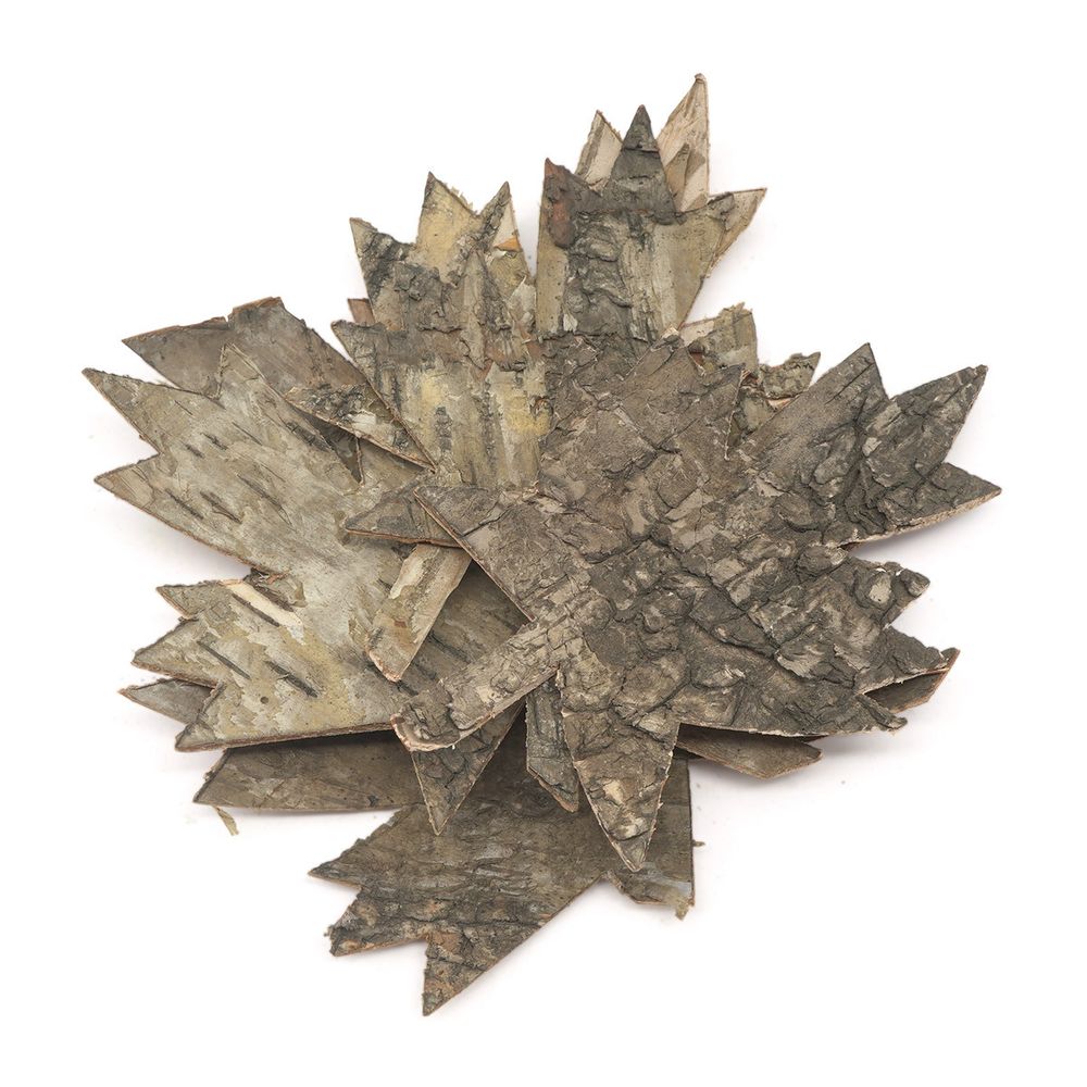 Декоративные элементы из коры дерева "Кленовый лист", 11х7см, 6 шт, нат/дерево