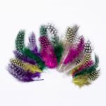 Перо цесарки обработанное микс, 7-10см, 20 шт, XQ-660339