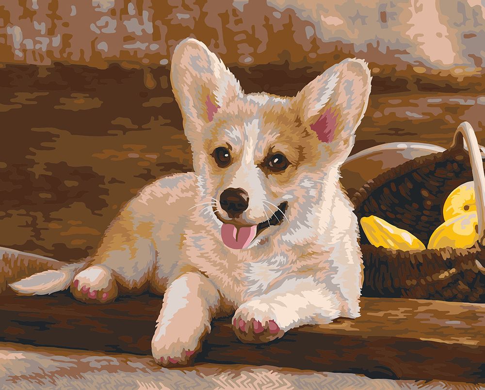 Картина по номерам Фрея, Вельш-Корги, 40х50 см