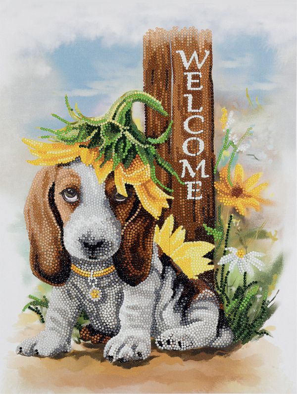 Алмазная (кристальная) мозаика Фрея, на подрамнике Добро пожаловать, 30х40 см