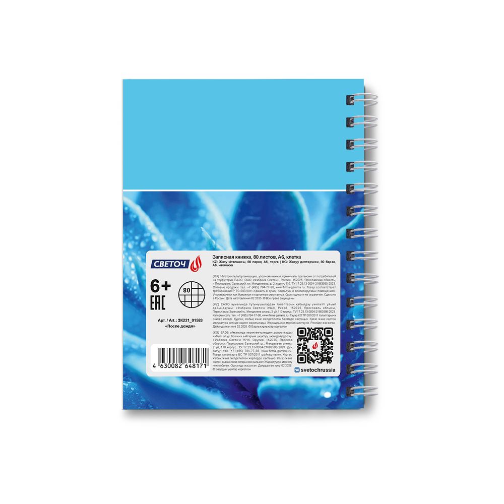 Записная книжка с твердым переплетом, глянцевая ламинация, на гребне A6 80 л. 4 шт клетка, После дождя 01583, ЗК221 Светоч