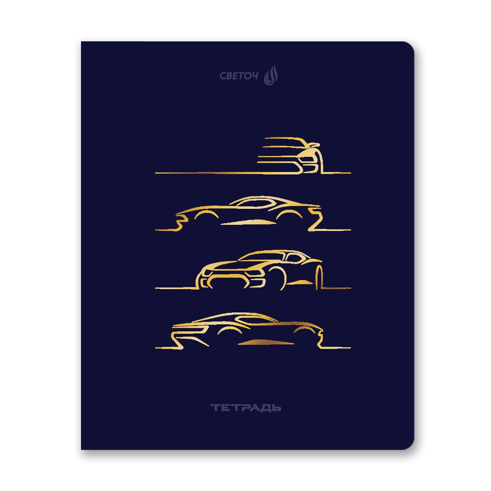Тетрадь ученическая общая, тиснение золотой фольгой, A5 48 л. на скобе 65 г/м², белизна 100% 10 шт клетка, 01515 Со скоростью света, Светоч Т199