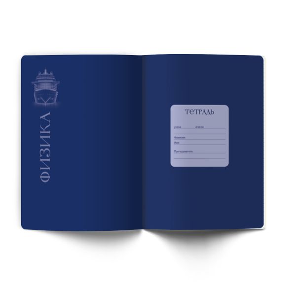 Тетрадь со справочным материалом Золотые главы, тисн.золот.фольгой, A5 48 л. на скобе 65 г/м², белизна 100% 10 шт клетка, 01853 Золотые главы Физика, Светоч Т286