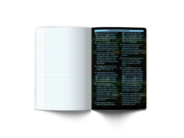 Тетрадь со справочным материалом Эволюция, глянцевая ламинация, A5+ 48 л. на скобе 65 г/м², белизна 100%, 10 шт, клетка, 00888 Иностранный язык, Светоч 48Т5