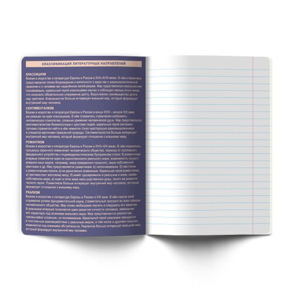 Тетрадь со справочным материалом Лёгким почерком, софт-тач ламинация, A5 48 л. на скобе 65 г/м², белизна 100% 10 шт линия, 01845 Лёгким почерком Литература, Светоч Т285