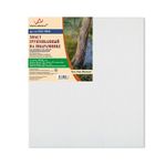 Холст на подрамнике грунтованный 50х50 см, 380 г/м², 2 шт, мелкозернистый, Vista-Artista SCLC-5050