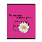 Тетрадь ученическая общая, выборочный лак, A5+ 48 л. на скобе, белизна 100%, 10 шт, клетка, 000316 В лето за мечтой, Светоч 48ТСК5_4_3_1