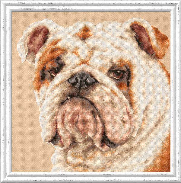 Набор для вышивания нитками Чудесная игла, Английский бульдог 25х25 см