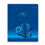 Комплект тетрадей со справочными материалами Кристалл тайного, глянц.ламинация, A5 48 л. 12 шт на скобе 65 г/м², белизна 100% 1 шт клетка/линия, 01885 12 предметов, Светоч Т296