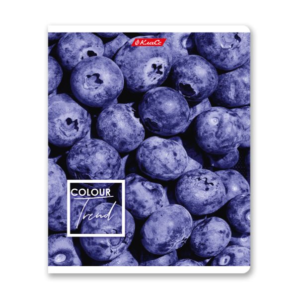 Тетрадь ученическая общая A5+ 48 л. на скобе, белизна 100%, 10 шт, клетка, 000308 Черничный рай, Светоч 48ТСК5_1_3_1