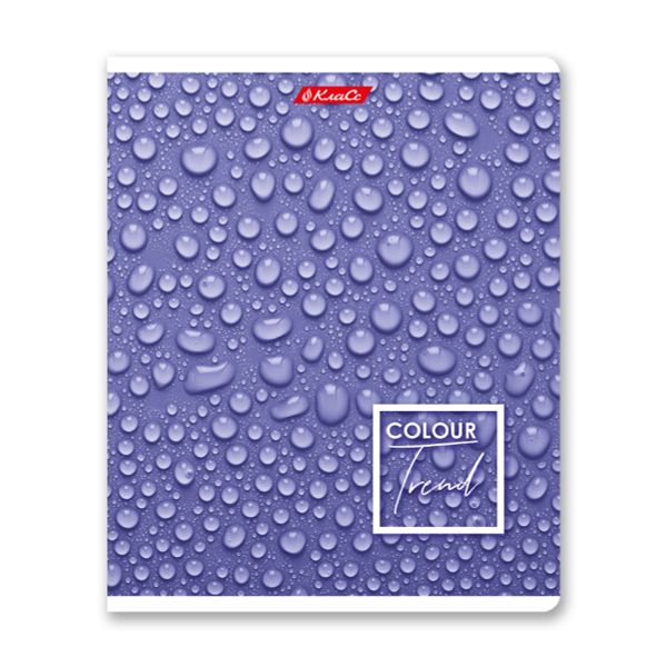 Тетрадь ученическая общая A5+ 48 л. на скобе, белизна 100%, 10 шт, клетка, 000308 Черничный рай, Светоч 48ТСК5_1_3_1