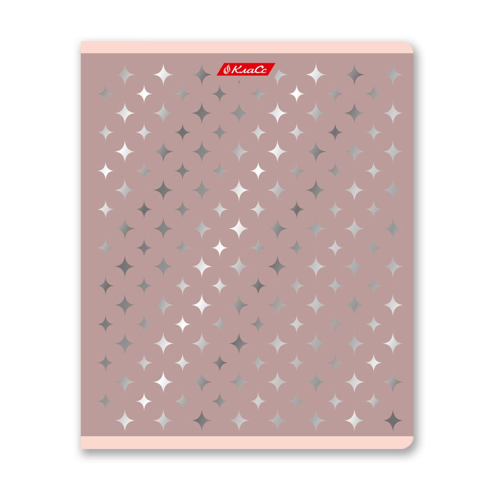 Тетрадь ученическая общая, матовая ламинация + тиснение серебряной фольгой, A5+ 48 л. на скобе 65 г/м², белизна 100%, 10 шт, клетка в термоусадочной пленке, 000743 Серебряная мечта, Светоч 48ТЕТк-007