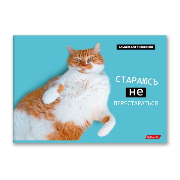 Альбом для рисования 100 г/м², A4 29х20.5 см, на скобе 48 л., 10 шт, 48АЛСК4_000271 Хороший день, Светоч