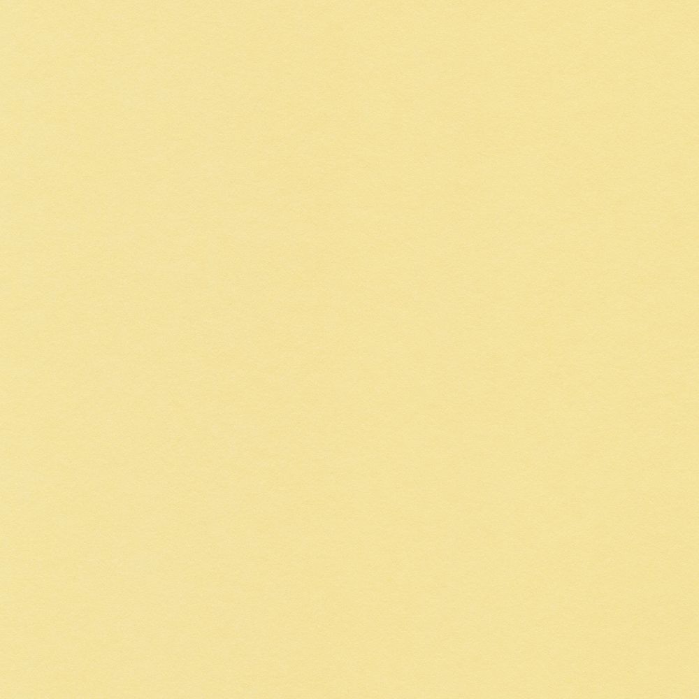 Бумага цветная 120 г/м², A4 21х29.7 см, 50 шт, 02 желтый светлый/yellow light, Vista-Artista
