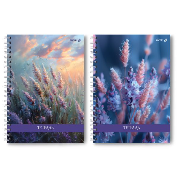 Тетрадь ученическая общая, A4 80 л. на гребне 65 г/м², белизна 100 %, 4 шт, клетка, 01234 Родные поля, Светоч Т125