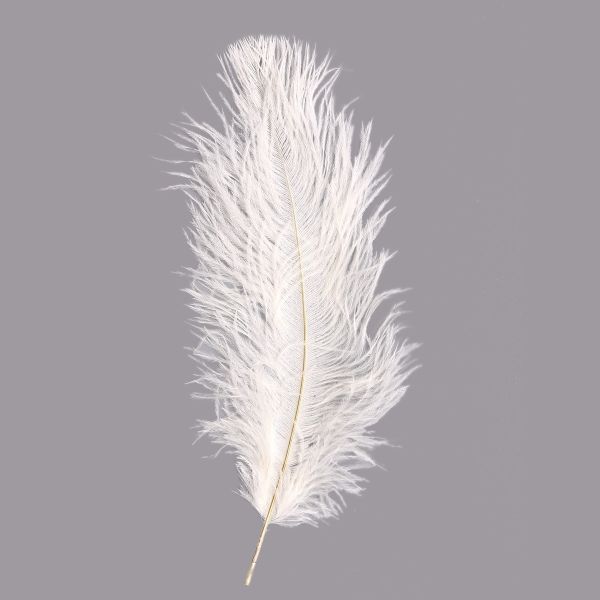 Перья страуса декоративные 20-25см, 10 шт в упак, белый