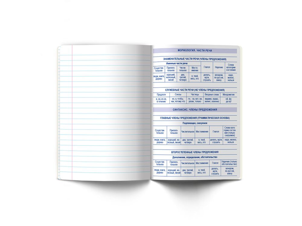 Тетрадь со справочным материалом Яркие краски, матовая ламинация + выбор. лак, A5+ 48 л. на скобе 65 г/м², белизна 100%, 10 шт, линия, 00870 Русский язык, Светоч 48Т8