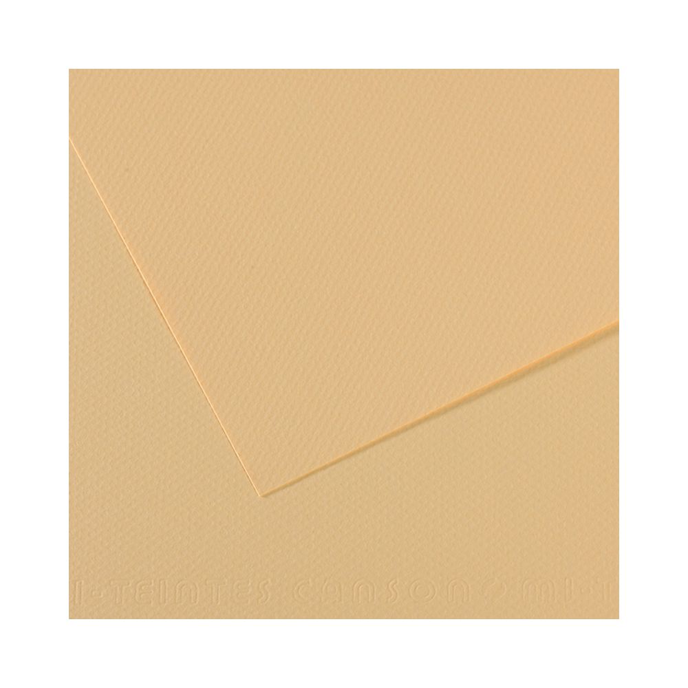 Бумага для пастели 160 г/м², 75х110 см, 25 листов, №407 кремовый, Canson Mi-Teintes C200321127