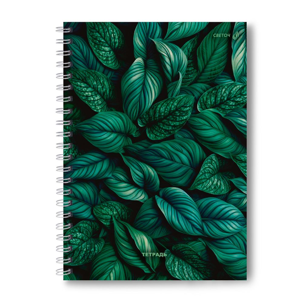 Тетрадь ученическая общая, A4 96 л. на гребне 65 г/м², белизна 100 %, 4 шт, клетка, 01247 Зелёный ковёр, Светоч Т129