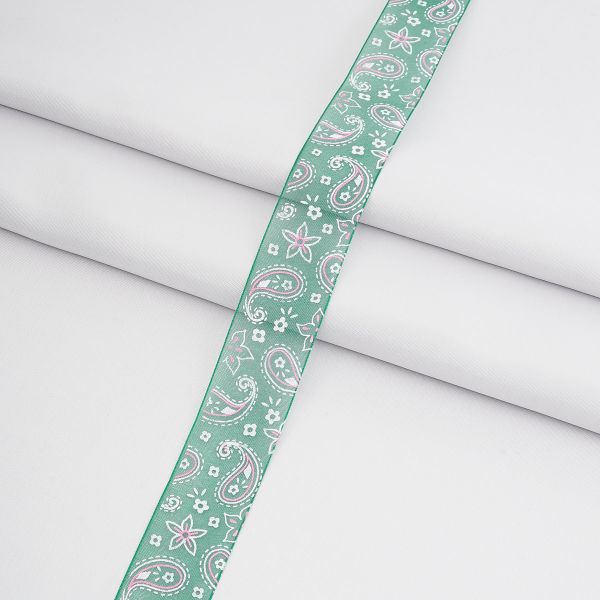 Лента капроновая (органза) Турецкий огурец 25.0 мм / 44.7 метра, 2513 т.зеленый