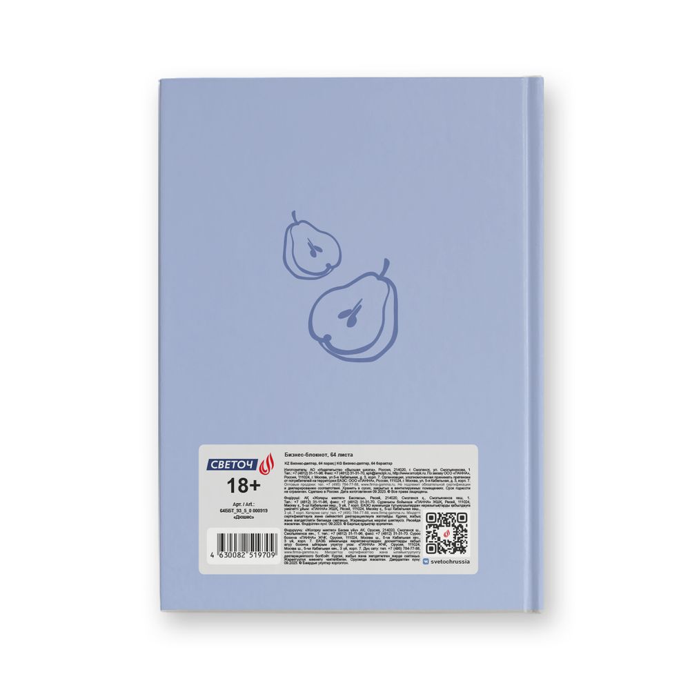 Бизнес-блокнот, мат. лам. + выбор. лак, тониров. блок, евроформат 64 л. 24 шт, французская клетка, Дюшес 000919, Светоч 64ББТ_93_5_0