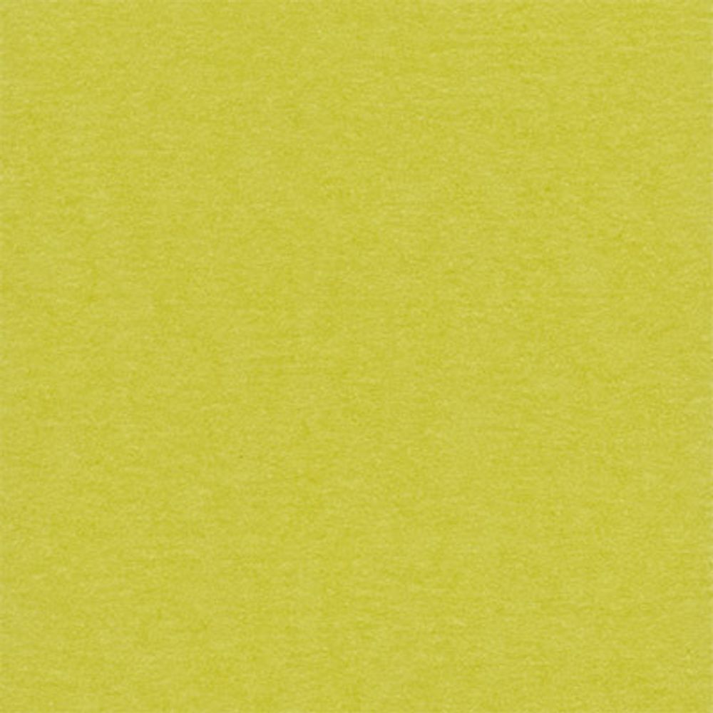 Бумага для скрапбукинга 216 гр/м², 30.5х30.5 см, 10 шт, 45 Зеленый чай (желто-зеленый), Mr.Painter PST