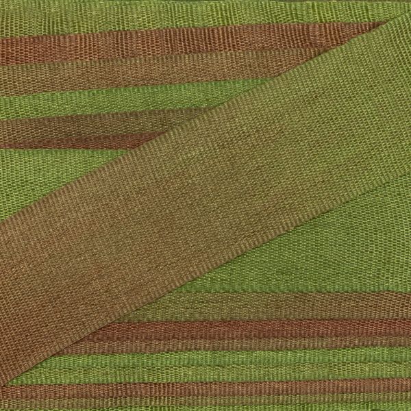 Лента (тесьма) шелковая 13.0 мм / 9.1±0.5 метров, M133 св.зеленый/коричневый, Gamma SRM-13