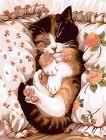 Картина по номерам Фрея PNB/PM-214, Сны котика, 40х30 см