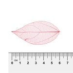 Листья скелетированные 2-6 см, 50 шт (5х10 шт), 07 красный, Mr.Painter SFL-01