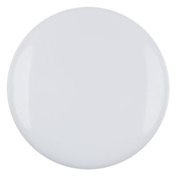 Пуговицы на ножке пальтовые 25 мм, 6 шт, А001 белый, Blitz DRN 0056