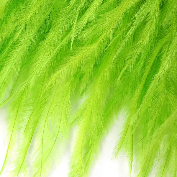 Перья на ленте Страус 8 см, FBY-08-086, цв. лайм, 2м