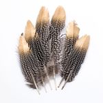 Перо цесарки обработанное с золотым кончиком, 17-20см, 6 шт, XQ-660324