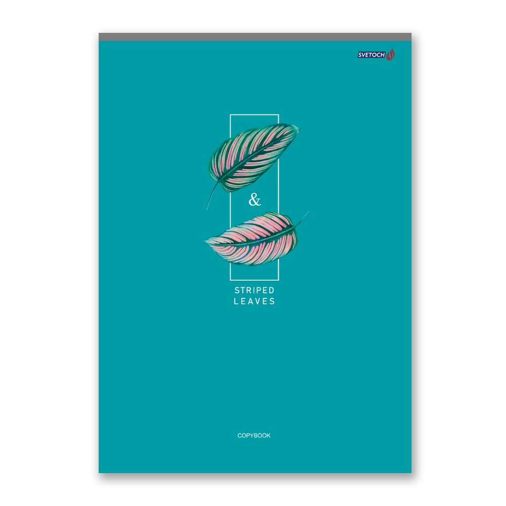 Тетрадь ученическая общая, A4 96 л. на скобе 65 г/м², белизна 100%, 6 шт, клетка, 000466 Зелёный отпуск, Светоч 96ТСК4_0_2_1