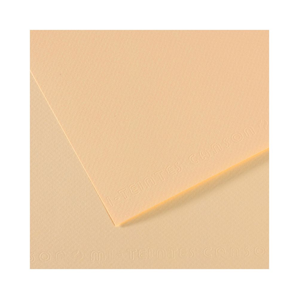 Бумага для пастели 160 г/м², 75х110 см, 25 листов, №111 слоновая кость, Canson Mi-Teintes C200321337