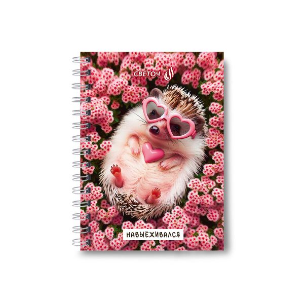 Записная книжка на гребне A6 120 л., 4 шт, клетка, Мои правила 01182, Светоч ЗК110