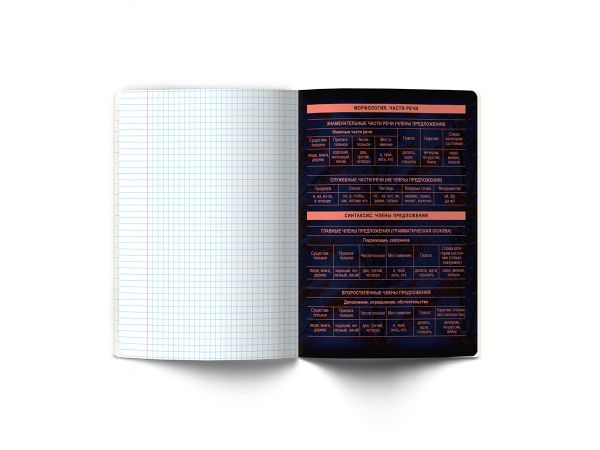 Тетрадь со справочным материалом Эволюция, глянцевая ламинация, A5+ 48 л. на скобе 65 г/м², белизна 100%, 10 шт, линия, 00882 Русский язык, Светоч 48Т4