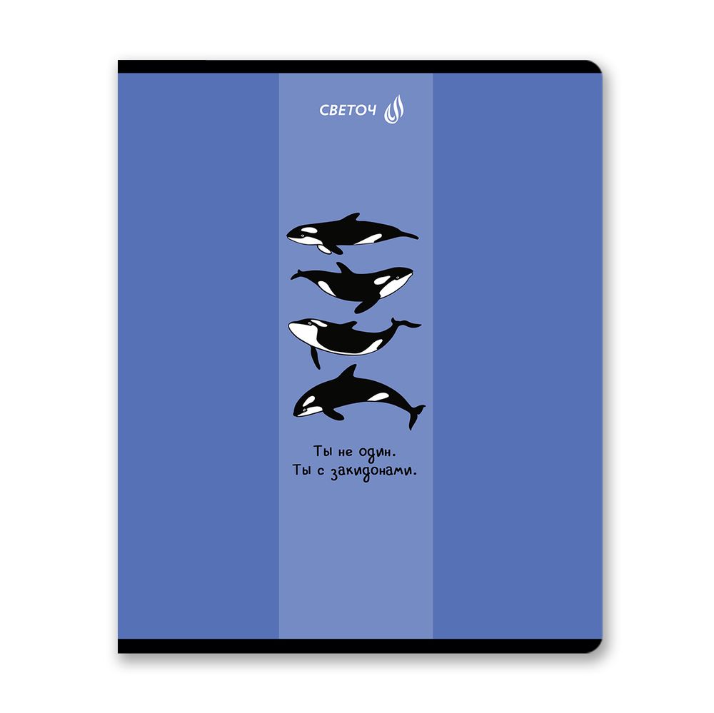 Тетрадь ученическая общая, A5 96 л. на скобе 65 г/м², белизна 100% 5 шт клетка, 01530 Море позитива, Светоч Т91