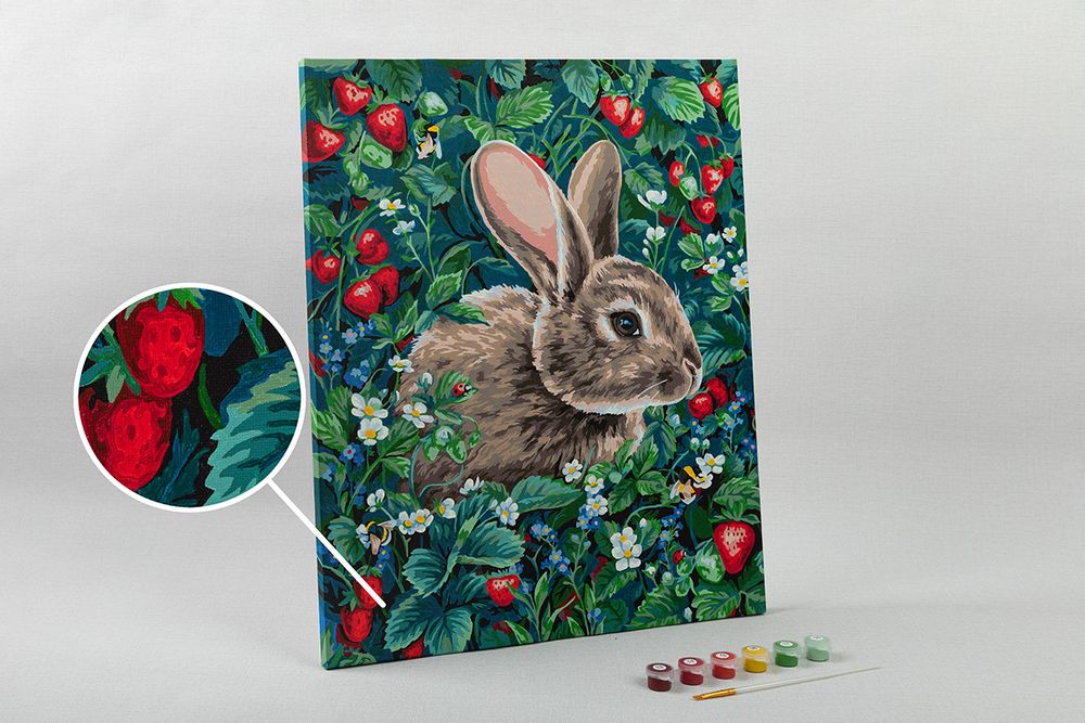 Картина по номерам Фрея, Заяц на поляне, 50х40 см